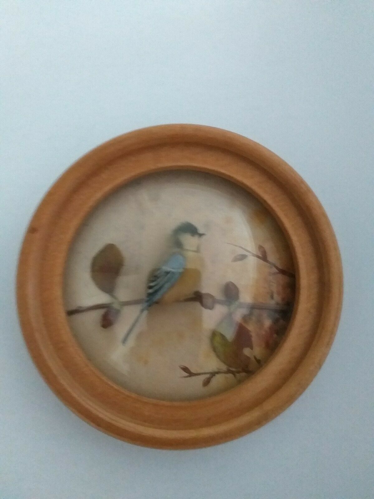 Great Tit (Version 6)